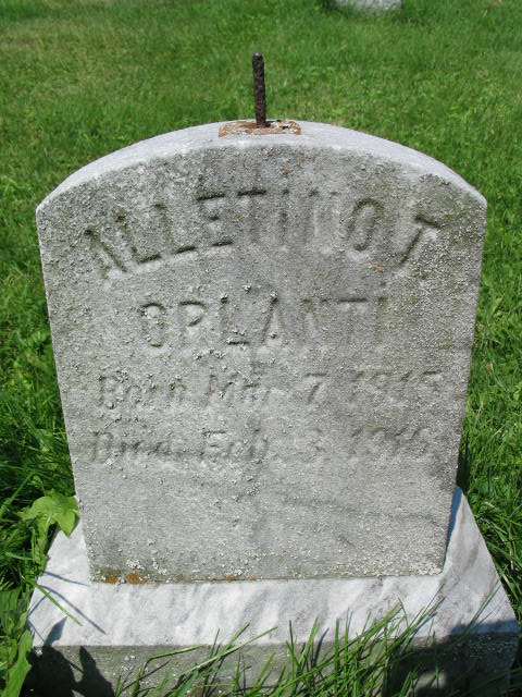 Altana D. Orlanti